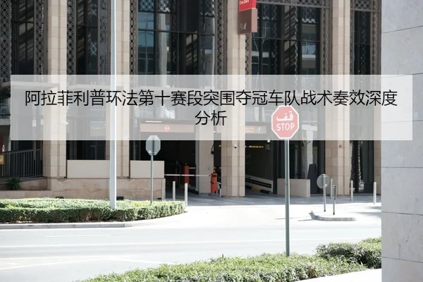 阿拉菲利普环法第十赛段突围夺冠车队战术奏效深度分析