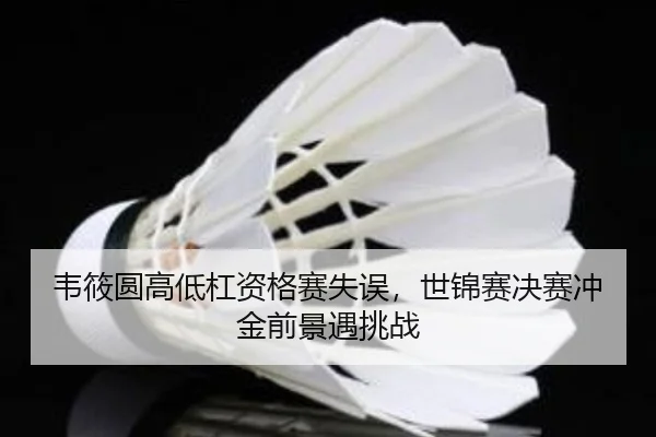 wei-xiao-yuan-gao-di-gang-zi-ge-sai-shi-wu-shi-jin-sai-jue-sai-chong-jin-qian-jing-yu-tiao-zhan-2-150.jpg