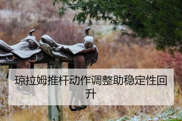 琼拉姆推杆动作调整助稳定性回升